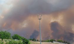Çanakkale'de tarım arazisinde başlayıp ormana sıçrayan yangına müdahale ediliyor