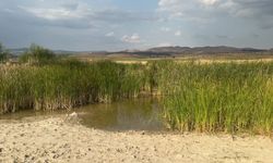 Afyonkarahisar'da serinlemek için gölete giren iki çocuk boğuldu