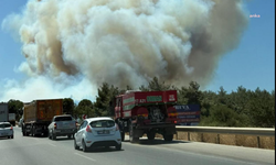 Çanakkale'deki orman yangına müdahale ediliyor