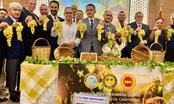 Manisalı üretici fiyatlardan şikayetçi: Alın terimizin karşılığı 120 TL değil