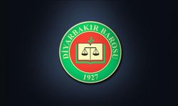 Diyarbakır Barosu’ndan Prof. Dr. Bengi Başer hakkında suç duyurusunda bulundu, Başer yanıt verdi