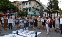 Antalya'da hayvan hakları eylemi: Barınaklar toplama kampı oldu