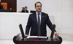 CHP Kars Milletvekili Algün Alp: Şap krizi, Tarım Bakanlığı’nın büyük bir zafiyet nedeniyle bu kadar yaygınlaştı