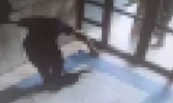 Başakşehir’de kediyi işkenceyle öldüren kişi tutuklandı