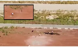 Kars hayvan barınağında köpeklere işkence: İHD’den sert tepki