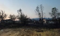 Kocaeli'de orman yangını: 3 Mahalle tahliye edildi