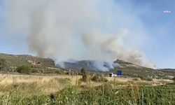 Diyarbakır’ın 3 ayrı noktasında orman yangını