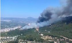 Manisa'nın Soma ilçesinde, orman yangını