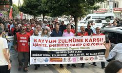 Van'da kayyım yönetimi tarafından işten çıkarılan 223 belediye işçisinin eylemi 6'ncı gününde devam etti