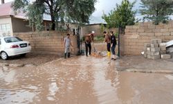 Van’da sel felaketi: DSİ’ye ihmal, belediyeye geç müdahale tepkisi