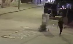 Aksaray'da yavru kediye işkence