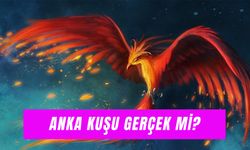 Anka Kuşu Gerçek mi? Kur'an’da Geçiyor Mu?