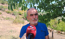 Ardanuçlu besici Bozkurt: Hayvancılığı bırakma noktasına geldik