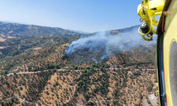 Aydın'da çıkan yangın kontrol altına alındı