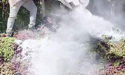 Manisa'da 6 ton üzüm imha edildi