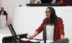 TİP'li Sera Kadıgil'den casusluk davası yorumu