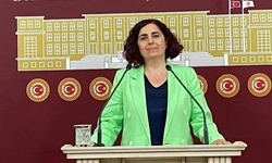 Sevilay Çelenk'ten Kızılcık Şerbeti senaristinin gözaltına alınmasına tepki