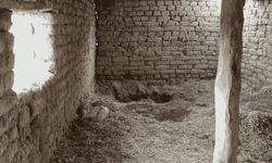 Eskişehir'de 14 yıldır kayıp olan kişiyi kardeşinin öldürdüğü belirlendi