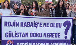 Dersim Kadın Platformu, Rojin Kabaiş için yürüdü