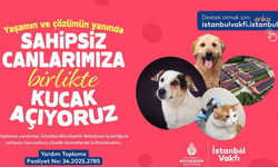 İBB ve İstanbul Vakfı'ndan sahipsiz hayvanlar için destek kampanyası