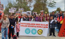 Tekirdağ’da hayvan hakları için ses yükseldi