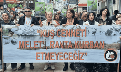 Ordu halkından 'Beton' tepkisi: Mahkeme iptal etti, belediye ısrarcı