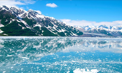 Trump yönetimi Alaska'da sondaj sınırlamalarını kaldırdı