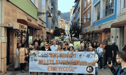 Ordu'da eski çöp alanının imara açılmasına yönelik protestolar devam ediyor: Haksızlığa karşı yürümeye devam edeceğiz