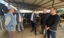 Hayvancılığı bırakma noktasına gelen besiciler, CHP’li Başevirgen’e girdi maliyetlerinden dert yandı
