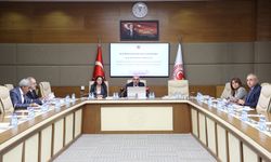 Gülizar Biçer Karaca'dan TİHEK'e insan hakları ihlalleri soruları