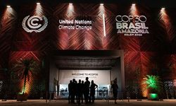 COP30'da ekokırımın uluslararası suç kabul edilmesi çağrısı yapıldı