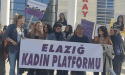 Dilara Günana cinayeti davası 12 Ocak 2026'ya ertelendi: Kadın Platformu'ndan "cezasızlık" tepkisi