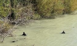 Mersin'de kayıp engelli genç Göksu Irmağı'nda ölü bulundu