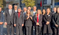 Gamze Taşcıer: Bu ölümlerin sebebi yalnızca denetim yapmayanlar mı?