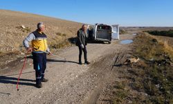 Yaralı tilki tedavisinin ardından doğaya geri bırakıldı