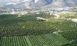 Mahkeme, Finike–Demre–Kaş–Kalkan Yol Projesi’nin ÇED Olumlu Kararını iptal etti