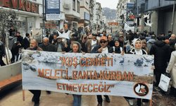 Ordu'da yeşil alan talepli yürüyüşünün altıncısı yapıldı