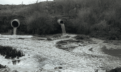 Gerede Çayı zehir akıyor: 355 bin insan tehdit altında