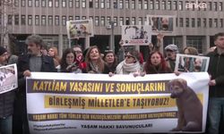 Hayvan hakları savunucusu avukatlardan Birleşmiş Milletler'e başvuru