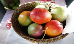 Mango Nedir? Faydaları Nelerdir? Kilo Aldırır mı?