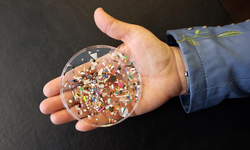 Araştırma: Her yıl 250 gram plastik yiyoruz