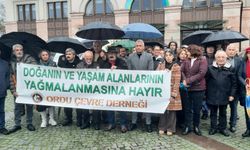Ordu Çevre Derneği, eski çöp alanındaki inşaatı protesto ediyor: Kuş cenneti yok ediliyor