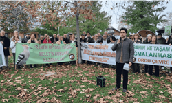 Ordu'da yeşil alan mücadelesi devam ediyor