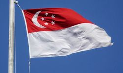 Singapur'da dolandırıcılara "kırbaç cezası" öngören yasa 30 Aralık'tan itibaren uygulanacak
