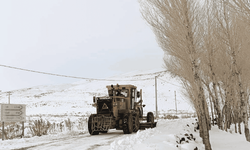 Van'da kar ulaşımı olumsuz etkiledi: Uçak seferleri iptal, 569 yerleşim yerine ulaşılamıyor