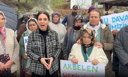CHP'li Özcan'dab Akbelen'de "acele kamulaştırma" kararına tepki