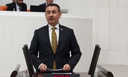 Karaman'da 1,75 milyon metrekarelik mera alanı GES projesi için tahsis edildi