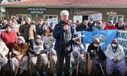 Aydın'da kül depolama projesine tepki: Bafa'ya, Menderes'e, Ege'ye zehir taşınacak