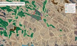 Denizli'de ormanlık alana kurulacak taş ocağı projesine ÇED onayı verildi