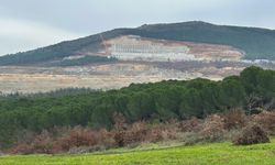 Kazdağları Ekoloji Platformu'ndan Cengiz Holding'e ait Halilağa Bakır Madeni için çağrı